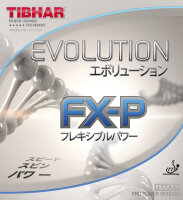 Evolution FX-P schwarz 1,9