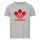 Shirt Antidas