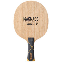 Magnass
